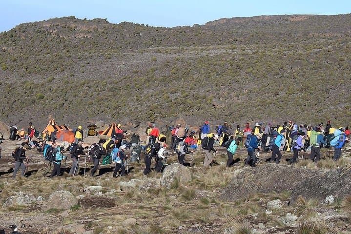 5-Day Marangu Route Climb: Conquer Mount Kilimanjaro's Easiest Summit photo 4