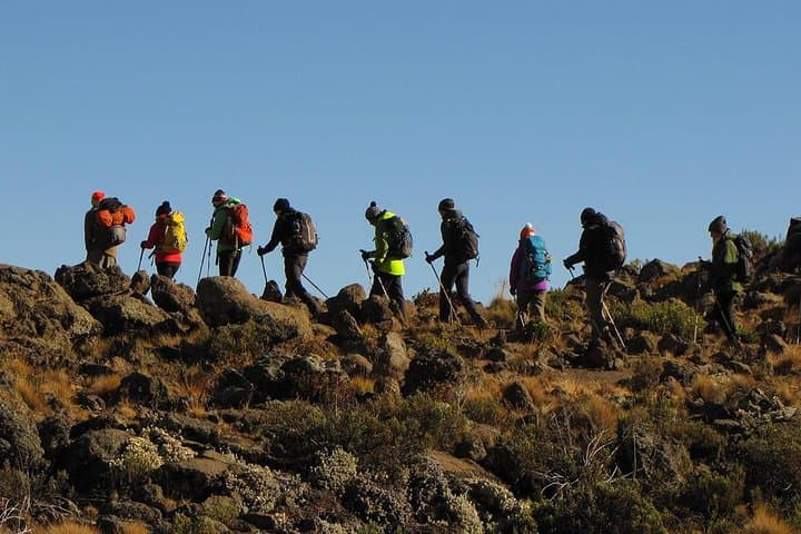 5-Day Marangu Route Climb: Conquer Mount Kilimanjaro's Easiest Summit