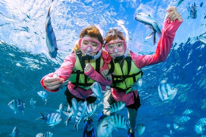 Blue Cave Snorkel from Onna: Easy Boat Trip to Okinawa’s Electric-Blue Waters photo 6