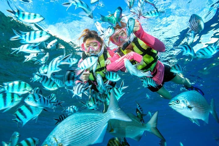 Blue Cave Snorkel from Onna: Easy Boat Trip to Okinawa’s Electric-Blue Waters photo 4