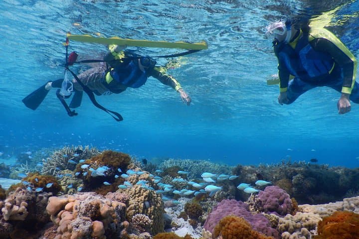 Kerama Islands Half-Day Kayak and Snorkel Tour from Zamami photo 4