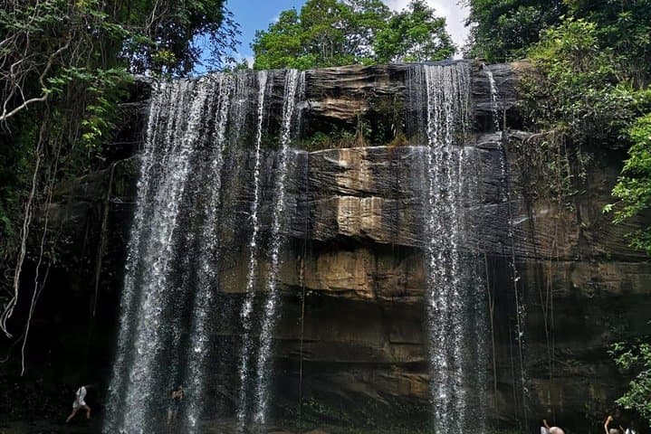 Shimba Hills One-Day Safari & Sheldrick Falls Walk
