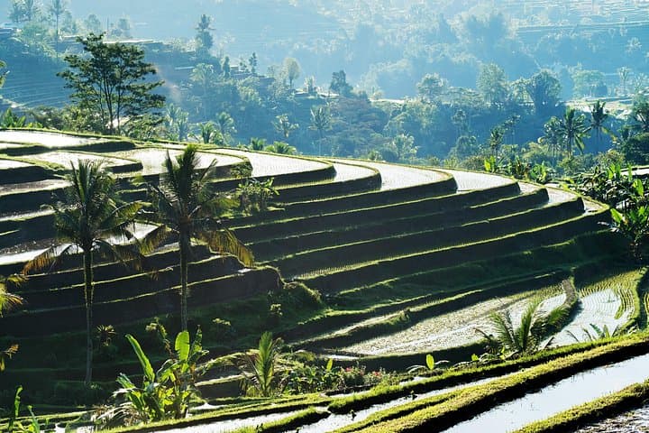 Bali Water Temples and Jatiluwih Rice Terraces Full-Day Tour from Ubud photo 2