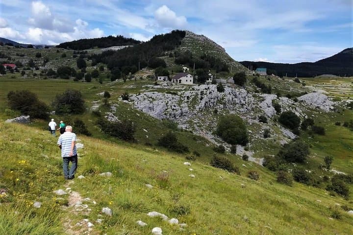 Lovćen Mountain Circle Panoramic Hike: Beech Forests to Dolovi Village photo 3