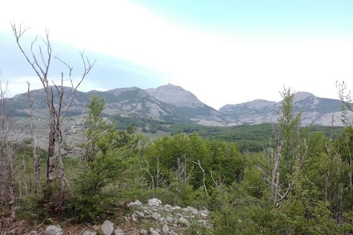 Lovćen Mountain Circle Panoramic Hike: Beech Forests to Dolovi Village photo 4