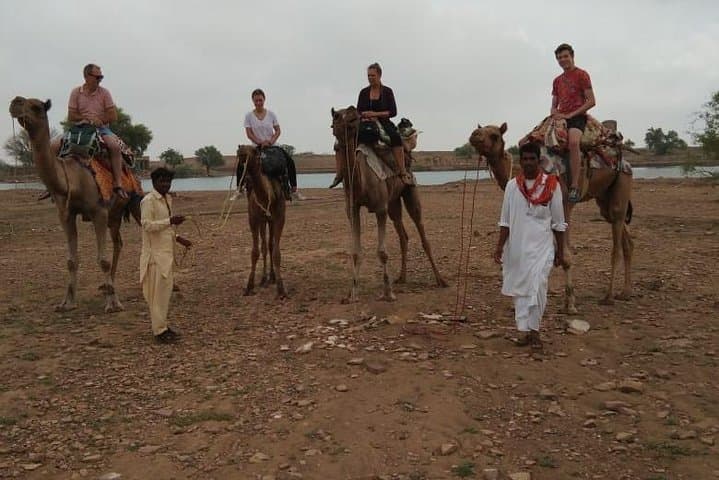 Overnight Camel Safari in the Thar: Jaisalmer Dunes & Star Camp