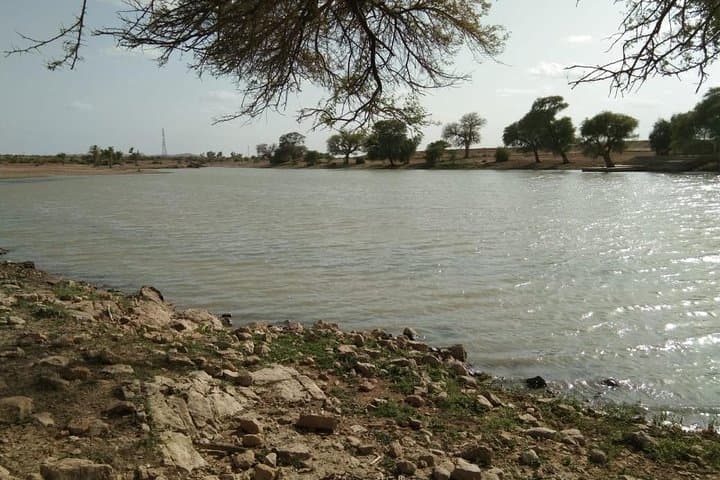 Overnight Camel Safari in the Thar: Jaisalmer Dunes & Star Camp photo 2