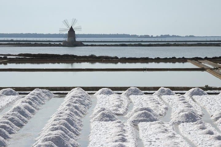 Afternoon Saline Tour — Flamingos & Salt Flats near Trapani