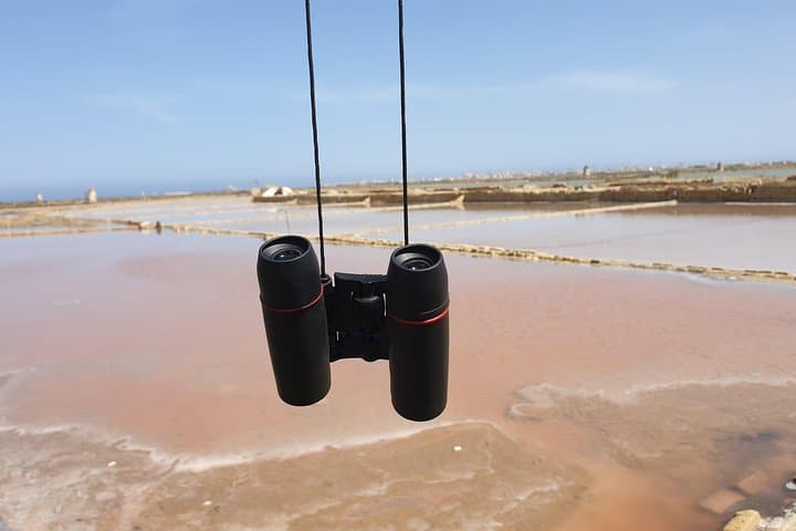 Dawn Salt Pans Tour: Sunrise Birdwatching at Saline di Trapani photo 6