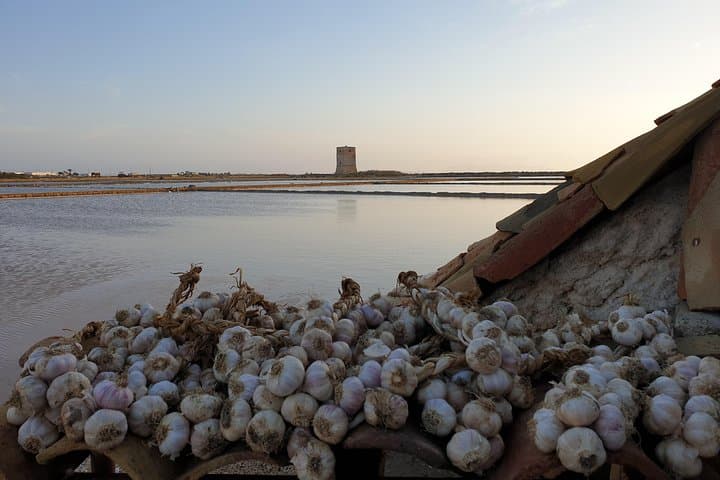 Dawn Salt Pans Tour: Sunrise Birdwatching at Saline di Trapani