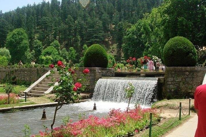 Exclusive Kashmir 6-Day Tour: Srinagar, Gulmarg, Pahalgam & Sonmarg