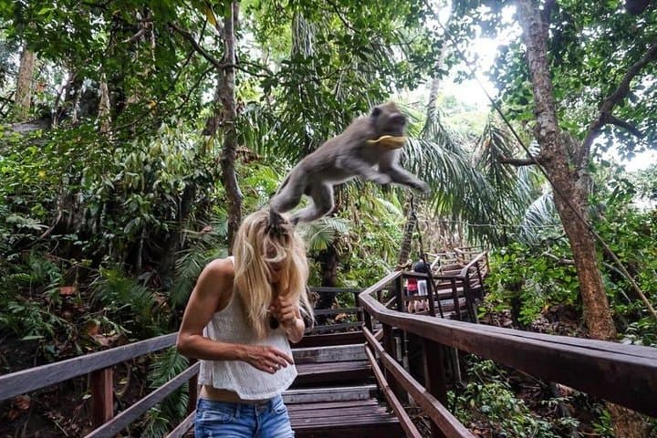 Ubud Cultural Tour: Temples, Rice Terraces & Monkey Forest in a Day photo 2
