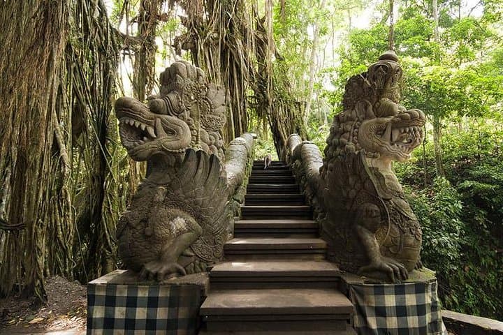 Ubud Cultural Tour: Temples, Rice Terraces & Monkey Forest in a Day photo 5