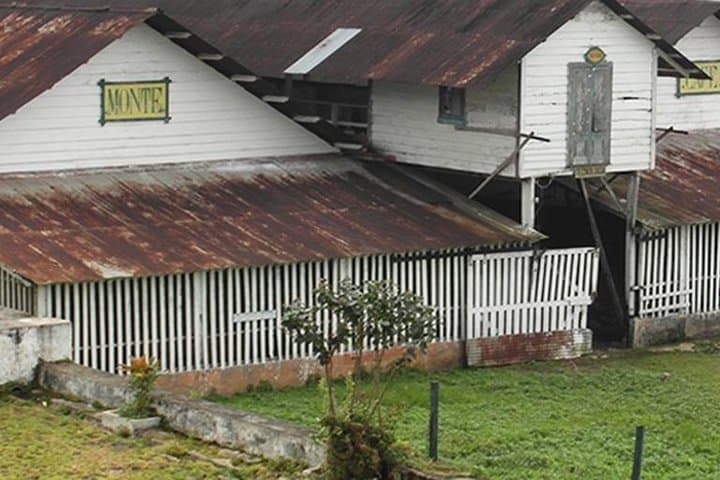 Coffee Road Excursion in São Tomé: Plantation Tours, Roasting & Tastings photo 5