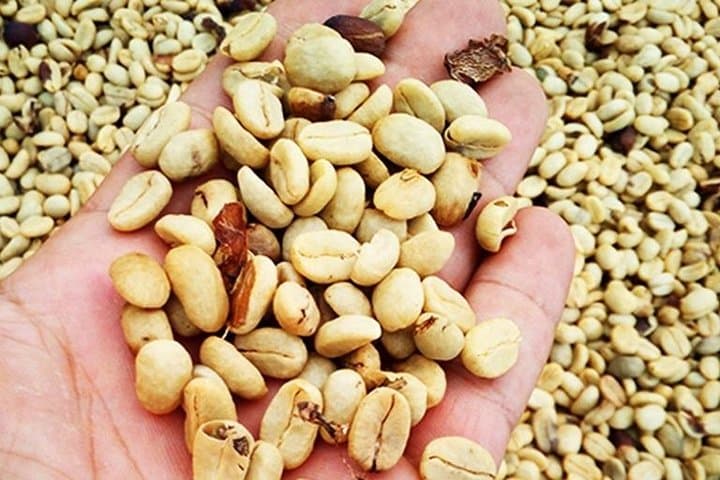 Coffee Road Excursion in São Tomé: Plantation Tours, Roasting & Tastings