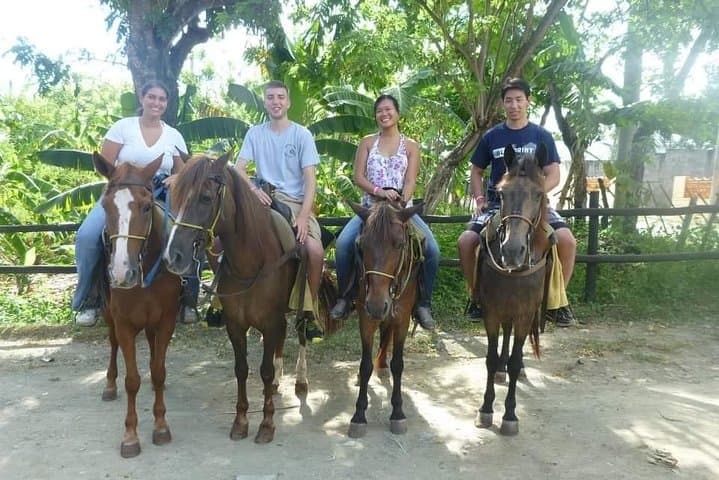 Beach Horseback Ride from Amber Cove: Private Taino Bay Trail photo 2