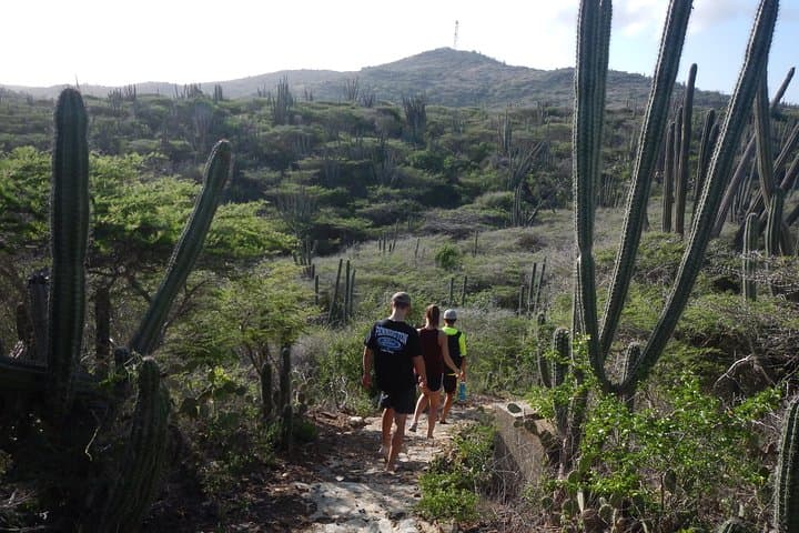 Private Hike and Shore Snorkel to Aruba's Highest Point & Mangel Halto Reef photo 2
