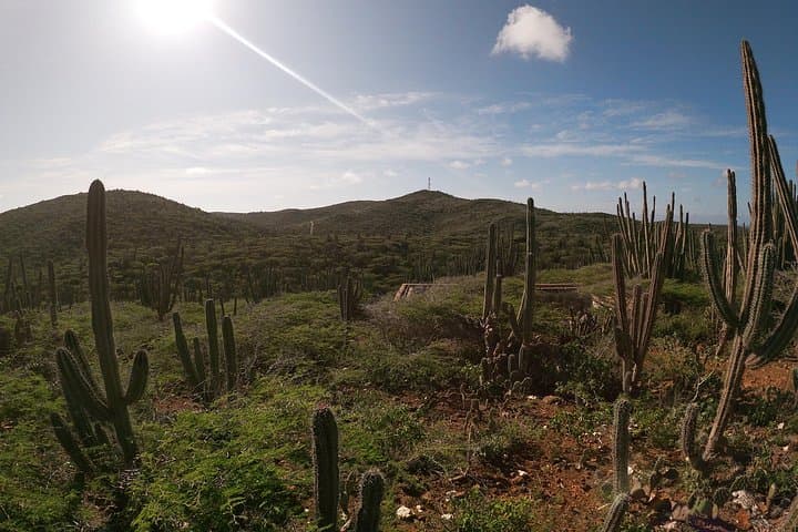 Private Hike and Shore Snorkel to Aruba's Highest Point & Mangel Halto Reef photo 3