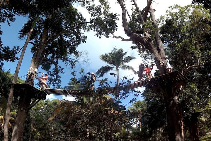 Zip Line Over Dunns River Falls — Ocho Rios Zipline & Waterfall Adventure photo 4