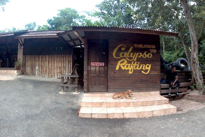 Montego Bay River Tubing: 90-Minute Guided Float on Jamaica’s Rivers photo 2