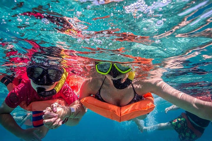 Isla Contoy and Isla Mujeres Snorkeling Tour from Cancun — Full-Day Catamaran Adventure photo 4