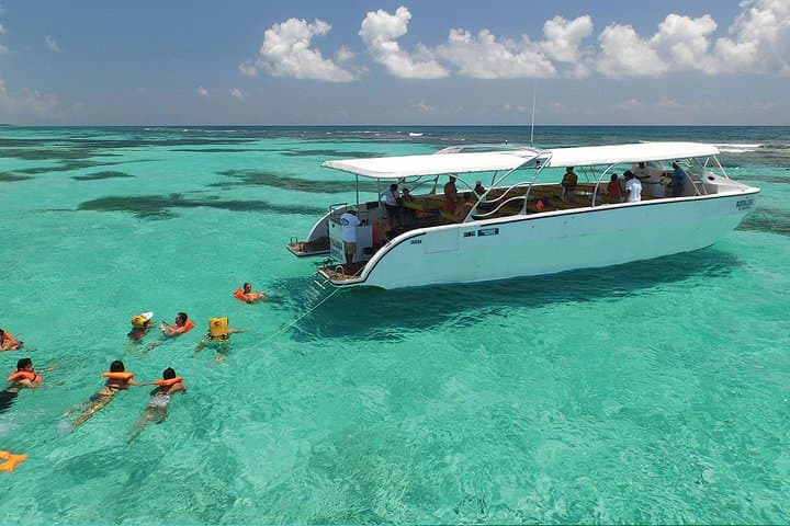 Isla Contoy and Isla Mujeres Snorkeling Tour from Cancun — Full-Day Catamaran Adventure photo 6
