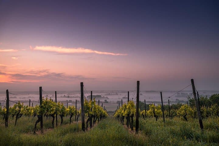 Private Custom Niagara Winery Tour from Niagara Falls, NY — Door-to-Door Tastings
