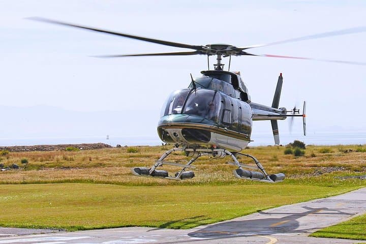 Cape Town Helicopter Flight to Cape Point with Stellenbosch Wine Tasting & Picnic photo 5