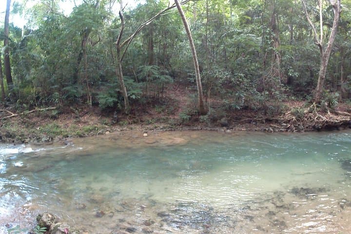Montego Bay River Tubing: 90-Minute Guided Float on Jamaica’s Rivers photo 4