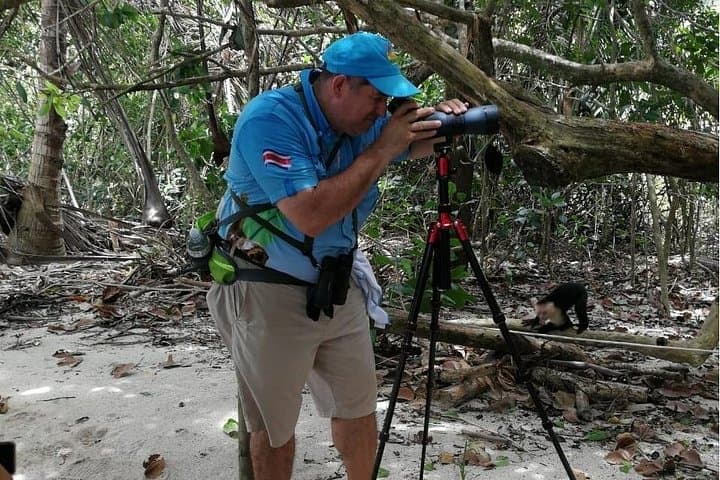 Manuel Antonio Wildlife Walk: Guided Tour of Costa Rica’s Rainforest and Beaches photo 1