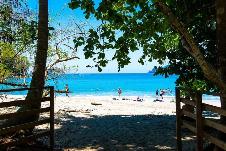 Manuel Antonio National Park Private Day Tour from Jacó — Beaches, Monkeys & Guided Trails photo 6