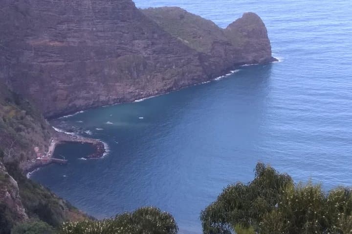 Buggy Backroads & Levadas: Discover Madeira's Wild Interior of Madeira photo 3