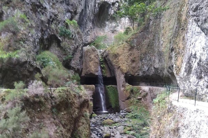 Buggy Backroads & Levadas: Discover Madeira's Wild Interior of Madeira photo 4