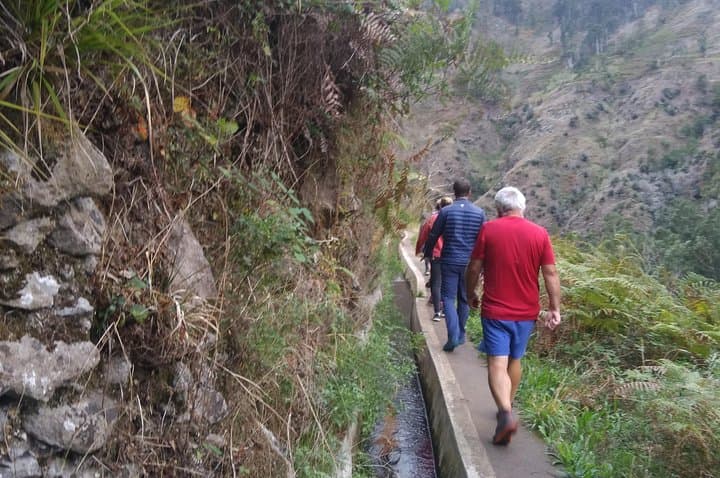 Buggy Backroads & Levadas: Discover Madeira's Wild Interior of Madeira photo 5