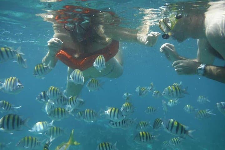 Negril Lobster Lunch & Snorkel to a Sunken Cannon on Booby Cay photo 3