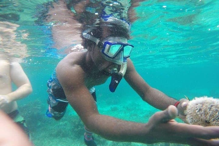Rick's Cafe Sunset Cruise and Snorkelling in Negril — Snorkel Reefs, Sail to Rick's & Watch Cliff Jumps photo 5