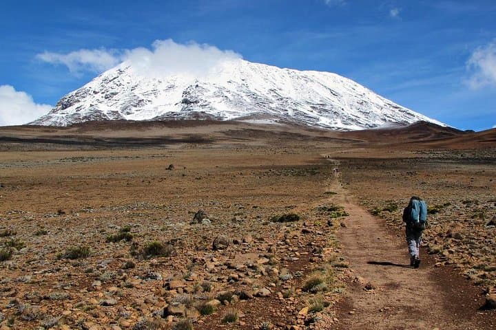 5-Day Marangu Route Kilimanjaro Trek to Uhuru Peak