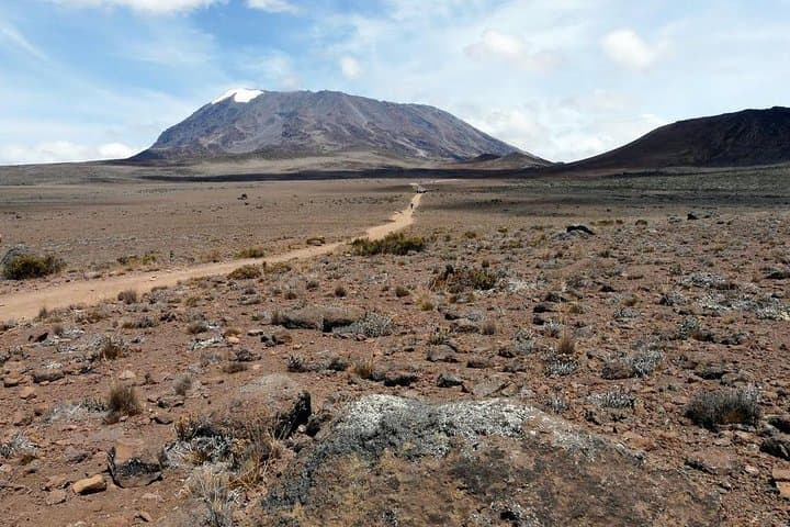 5-Day Marangu Route Kilimanjaro Trek to Uhuru Peak photo 3