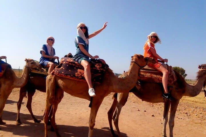 Sunset Camel Ride and Three-Course Dinner in Agafay Desert near Marrakech photo 3