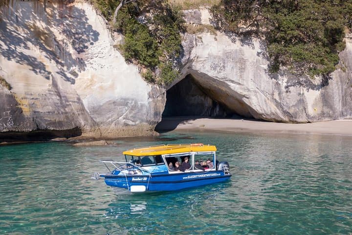 See Cathedral Cove From a Glass-Bottom Boat: Whitianga Marine Reserve Cruise photo 3