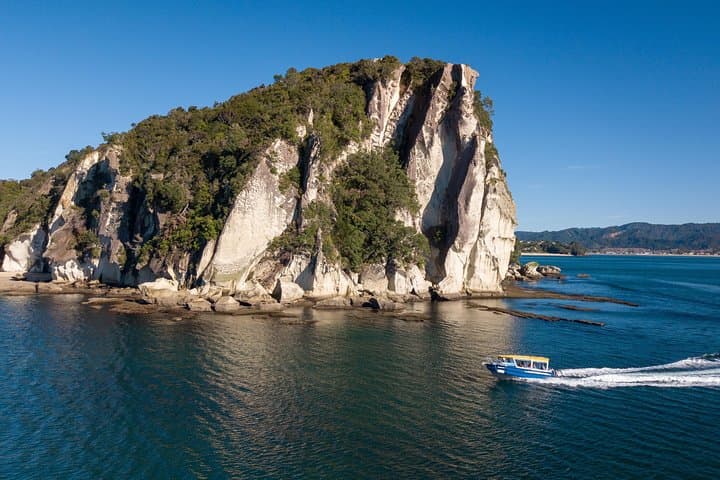 See Cathedral Cove From a Glass-Bottom Boat: Whitianga Marine Reserve Cruise photo 4