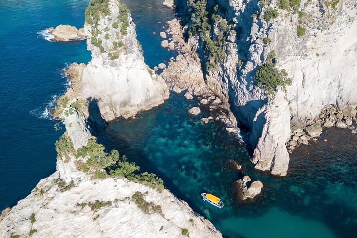 See Cathedral Cove From a Glass-Bottom Boat: Whitianga Marine Reserve Cruise photo 5