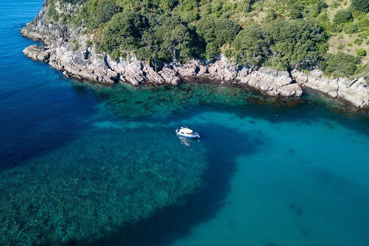 See Cathedral Cove From a Glass-Bottom Boat: Whitianga Marine Reserve Cruise photo 6