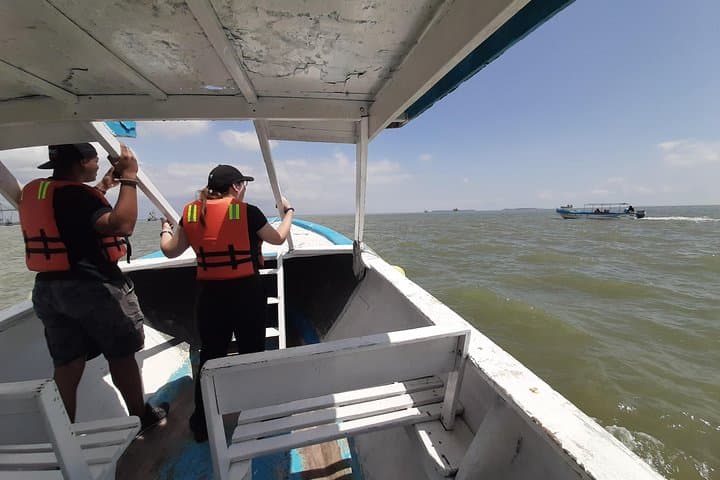 Dolphin Watching from Guayaquil to Puerto El Morro — Full-Day Coastal Wildlife Cruise photo 5