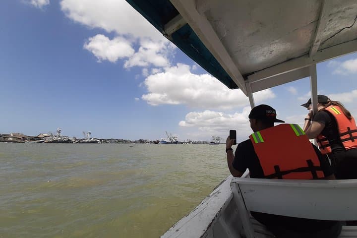 Dolphin Watching from Guayaquil to Puerto El Morro — Full-Day Coastal Wildlife Cruise photo 4