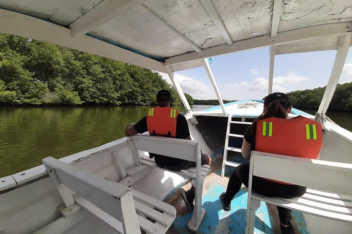 Dolphin Watching from Guayaquil to Puerto El Morro — Full-Day Coastal Wildlife Cruise photo 3