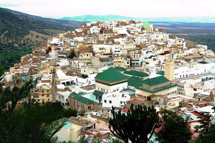 From Fez to Volubilis and Meknes: A Private Day Trip to Roman Ruins and Imperial Gates photo 5