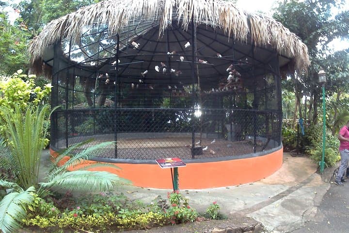 Konoko Waterfall and Zoo: Skip-the-Line Ocho Rios Falls & Park Tour photo 4