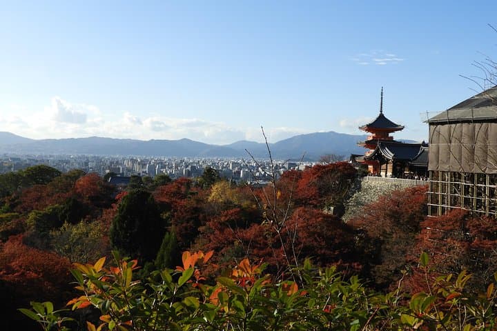 Kyoto Full-Day Ultimate Sightseeing Guide: Kinkaku-ji, Nijo, Fushimi & Gion photo 3