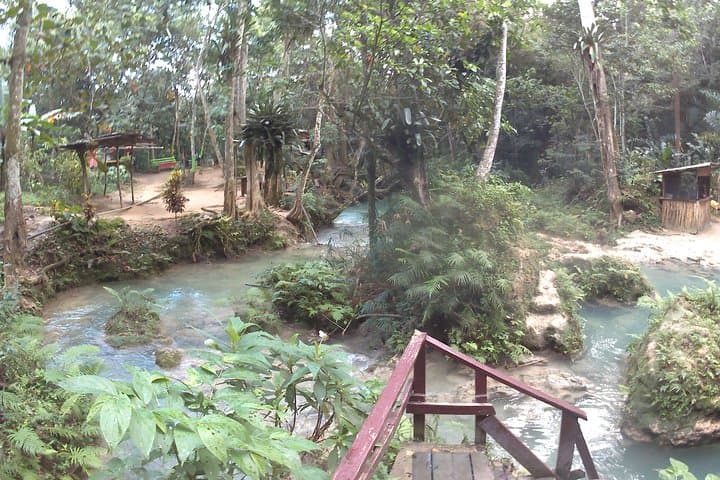 Blue Hole Jump in Ocho Rios: Skip-the-Line Waterfall Adventure photo 6